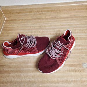 Mens Burgandy Tsugi Pumas